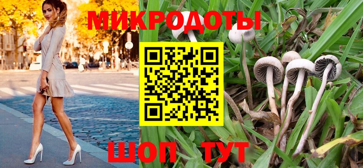Галлюциногенные грибы Cubensis Рязань