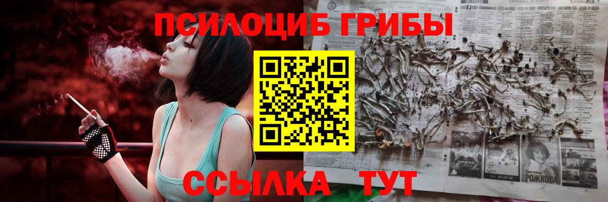 купить закладку  Галлюциногенные грибы Magic Shrooms  Рязань  Вход с VPN  Галлюциногенные грибы Psilocybe 